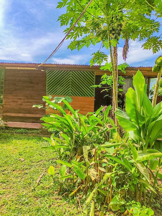 Rosa'S House Hotel Puerto Maldonado Ngoại thất bức ảnh