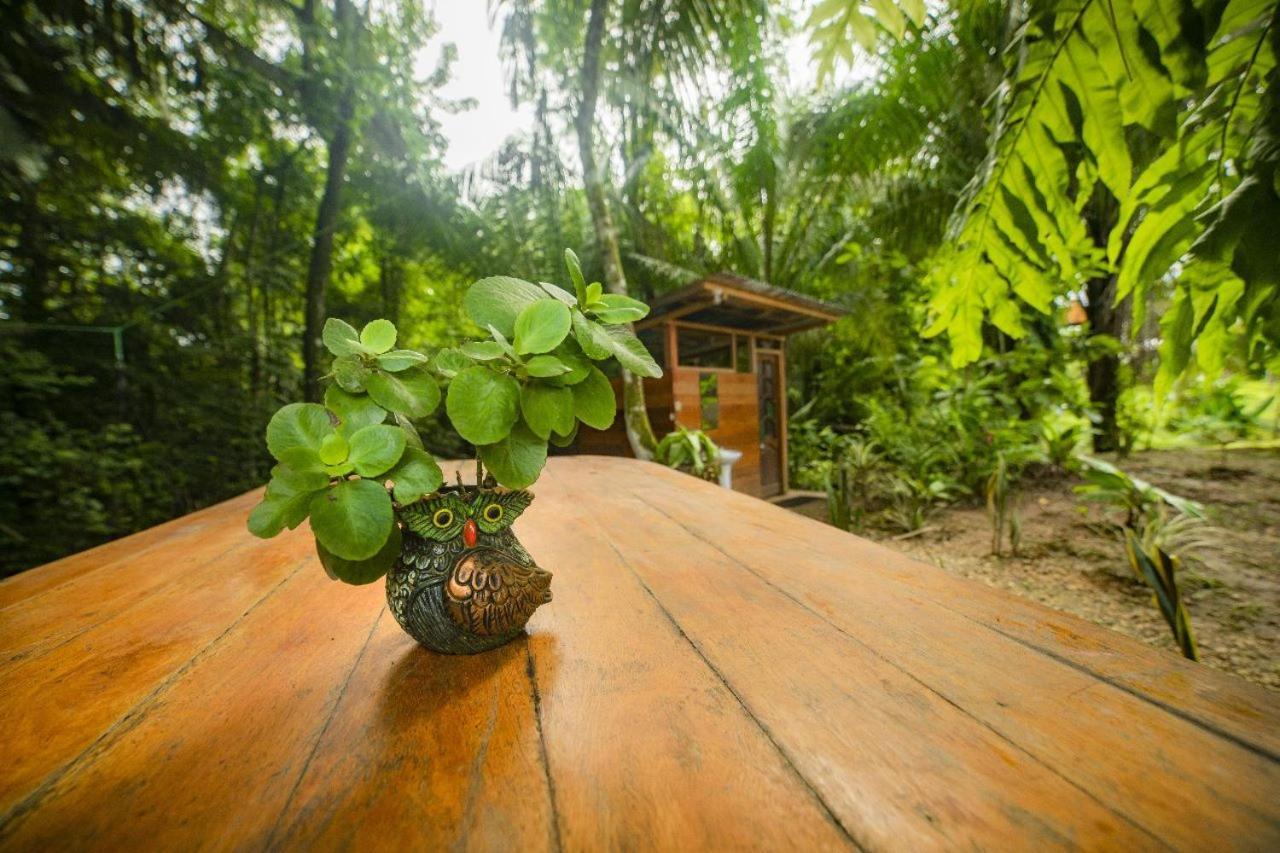 Rosa'S House Hotel Puerto Maldonado Ngoại thất bức ảnh